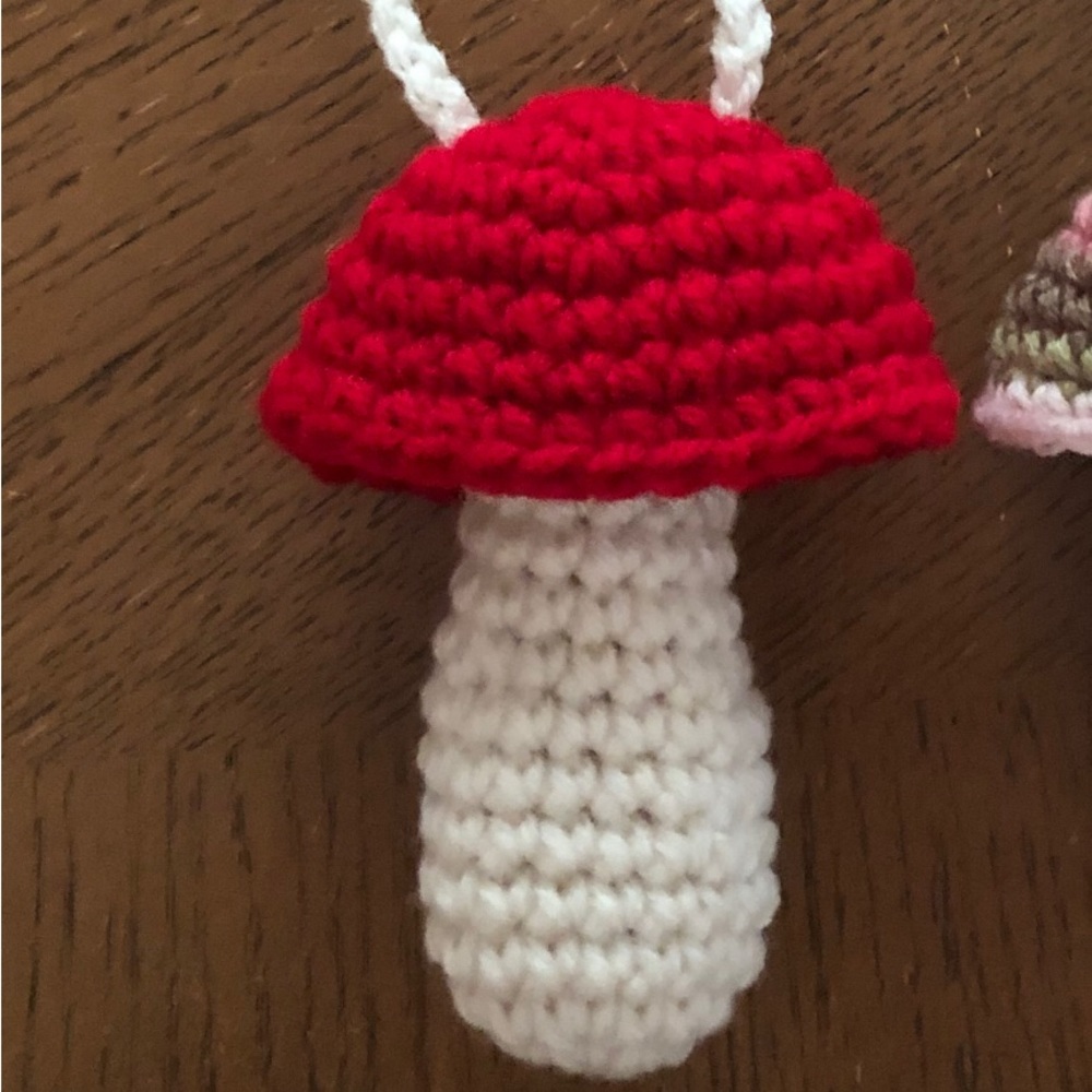 1 RED Mushroom Pouch.